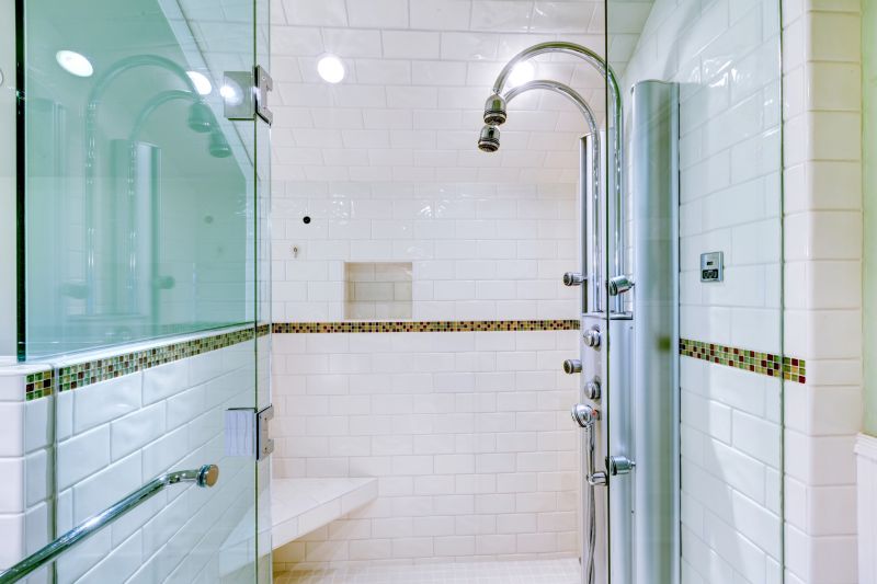 Elegant Shower Niche